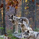 ���� �����, ������, 40 ��� - ��������� 14 ������� 2023 � ������ ���� ����������