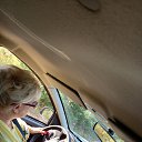 ���� �����, ������, 54 ���� - ��������� 9 ��� 2022