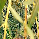 ���� �����, ������ - ��������� 13 �������� 2022