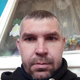 �����, ������, 41 ���