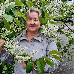 ����, �����������, 63 ����