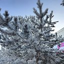 ���� ������, ��������, 67 ��� - ��������� 11 ������ 2023 � ������ ���� ����������
