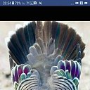  Sami, , 43  -  24  2022