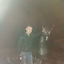 �����, �������, 36 ���