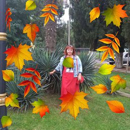 ����, ���������, 65 ���