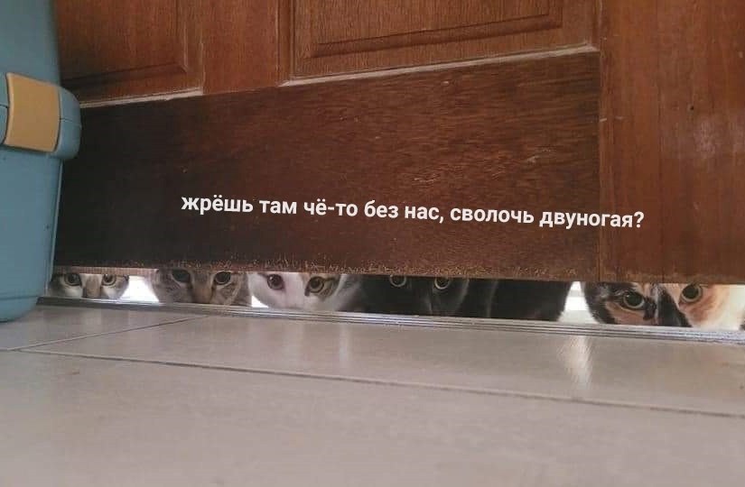 : *    5 *. :