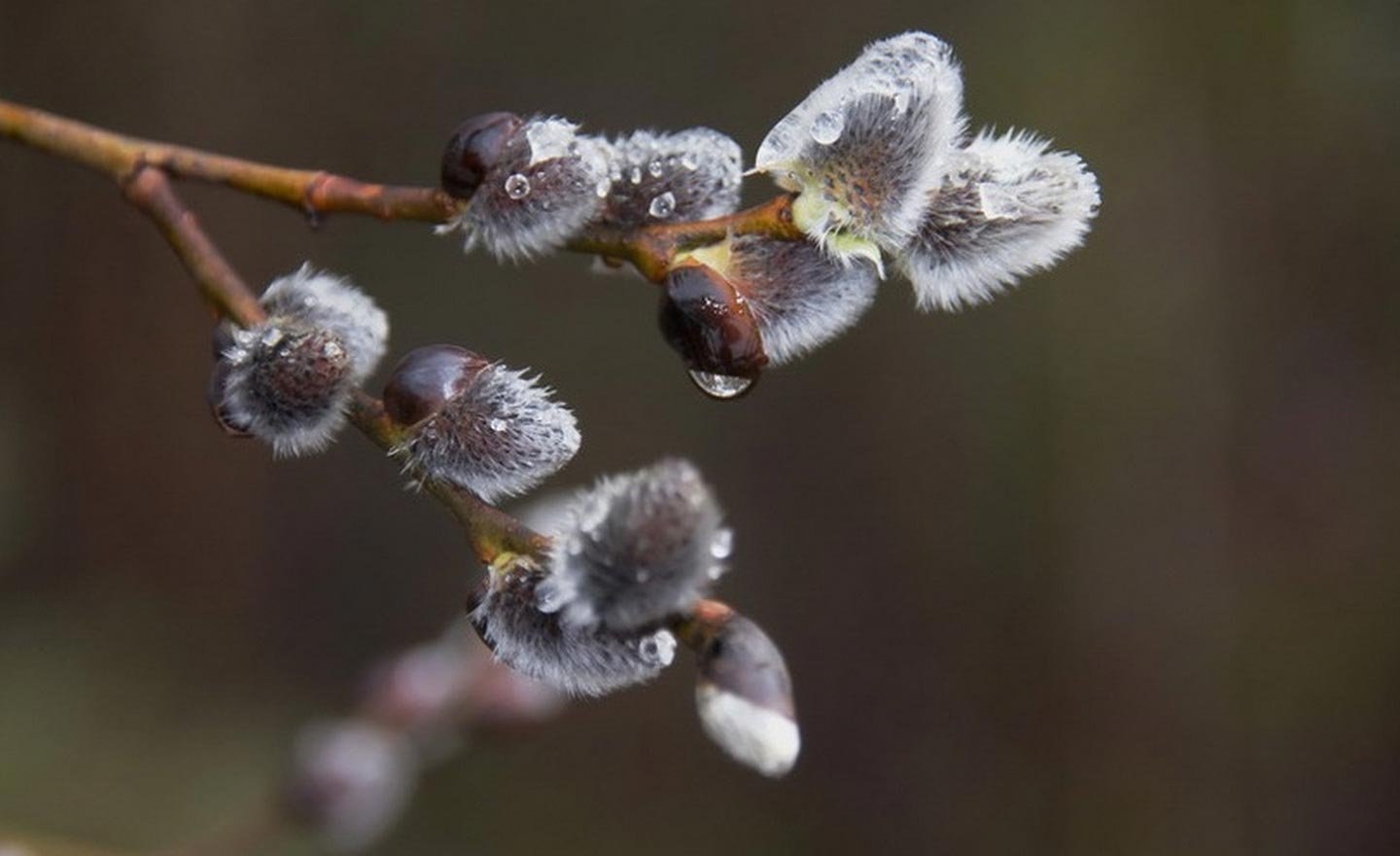 Š - 17  2022  11:43