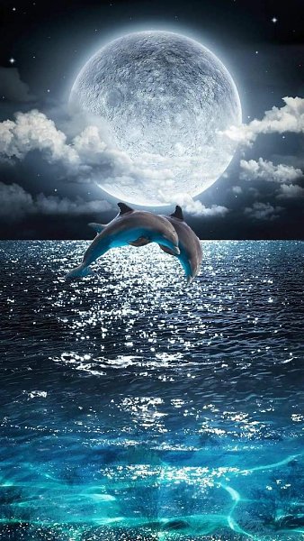 :)    ,  ,    .   ,     ...