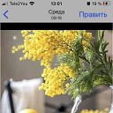 ���� ��������, ����������� ���� - ��������� 5 ����� 2022 � ������ ���� ����������