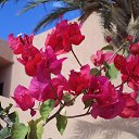 ���� Nadin, �������, 61 ��� - ��������� 19 ������ 2022 � ������ ������ ��������