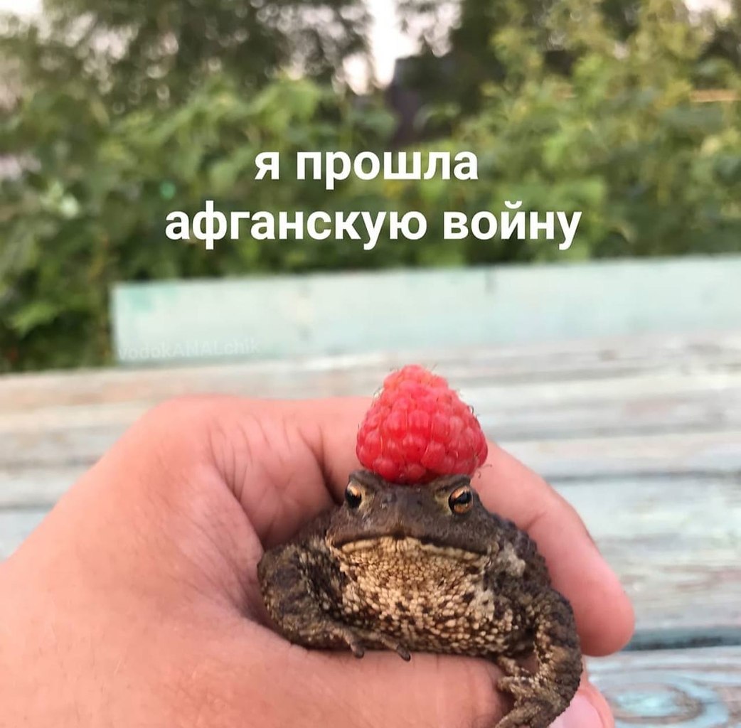 ��� �������� �������� - 17 ������� 2022 � 01:15