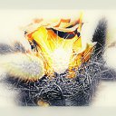 ���� ����, ������������, 44 ���� - ��������� 22 ������� 2022 � ������ ���� ����������