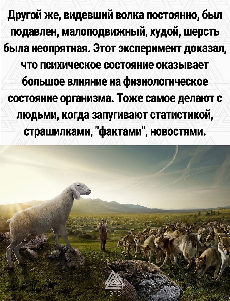 ��� | ����������, ������������ - 24 ��� 2022 � 15:11 - 3