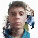 ���� �����, ������ - ��������� 11 ������� 2022 � ������ ���� ����������