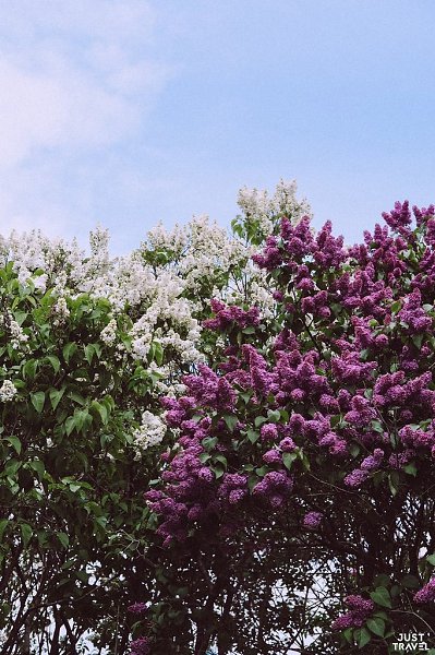 a-eepp a.#art #travel #world - 5