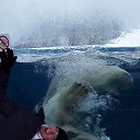 ���� ������, ���������, 49 ��� - ��������� 11 ������ 2022