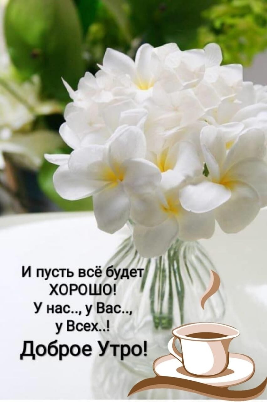    -.,       ! ...