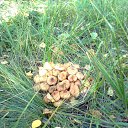 ���� ������, ������������, 63 ���� - ��������� 26 ������ 2022