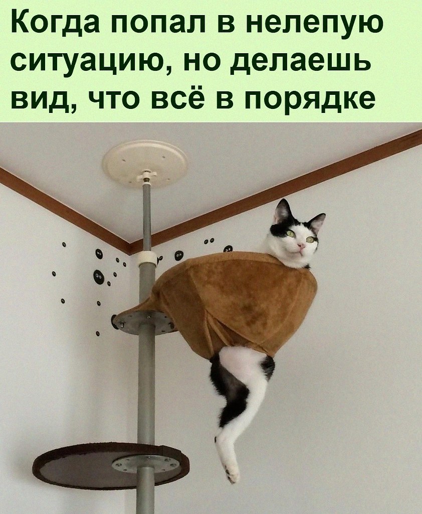   :D - 14  2022  12:40