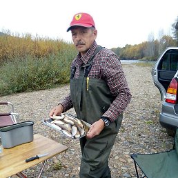 ������, ��������, 67 ���