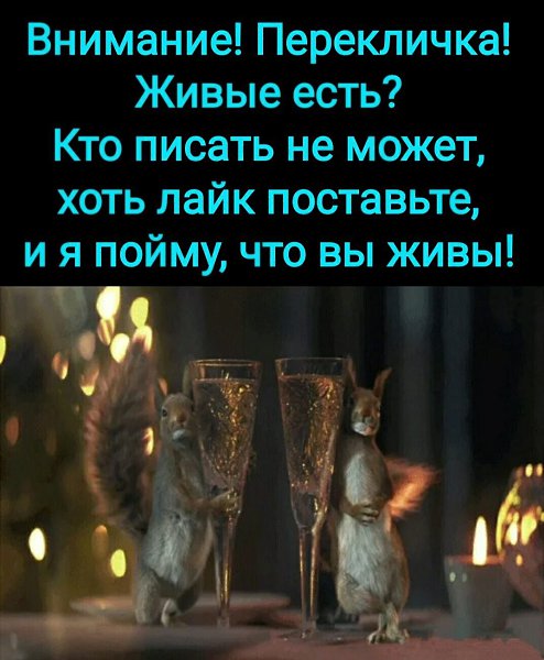 ***Victoria Viktorovna*** - 2  2023  11:48
