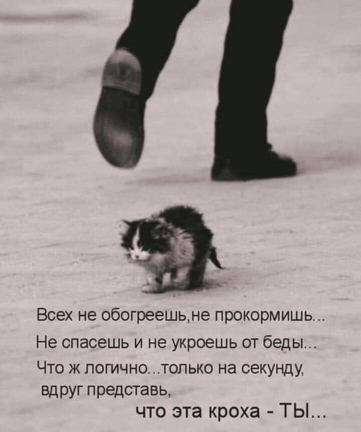Мужчина и женщина стояли в приюте и смотрели на подходящую к ним пожилую женщину. Она шла медленно, ...
