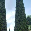  , -, 71  -  31  2022     2022 