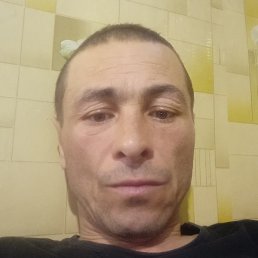 , , 46 