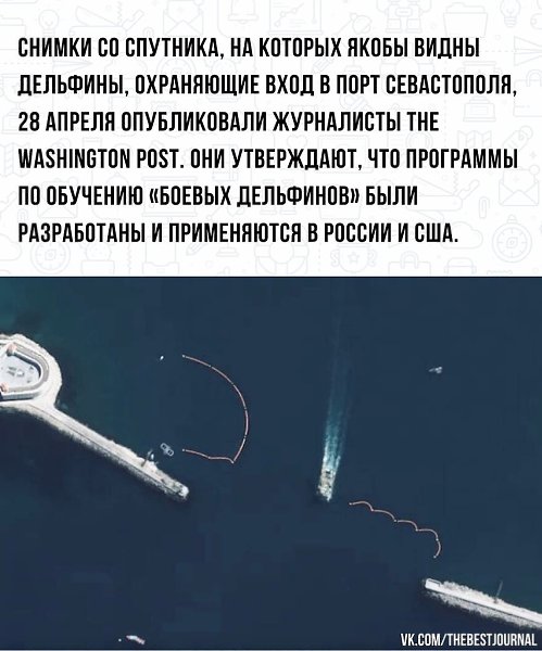 BEST | , ,  - 29  2022  14:35 - 2