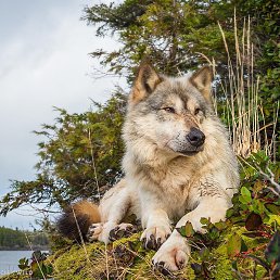 ����, ������, 26 ���