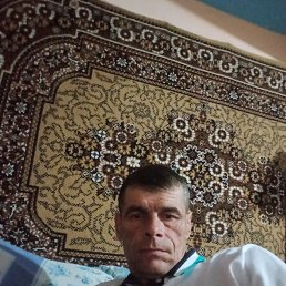 ���� ������, �������, 54 ���� - ��������� 12 ������� 2023