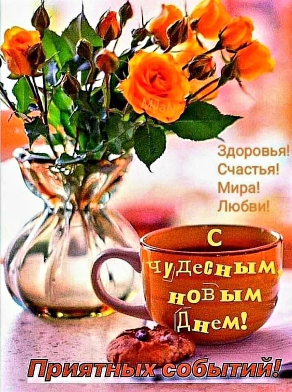 ***Victoria Viktorovna*** - 10  2022  06:27
