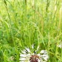 ���� ������, ��������, 63 ���� - ��������� 16 ������� 2022