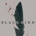 ���� ������, ���������, 63 ���� - ��������� 22 ������ 2022 � ������ ������ ��������