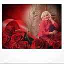 ���� ����� (���� ), ������� - ��������� 28 ������� 2022 � ������ ���� ����������