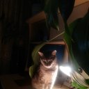 ���� �������, ������, 47 ��� - ��������� 29 ������� 2022 � ������ ���� ����������