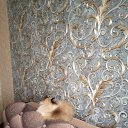 ���� �������, �����������, 50 ��� - ��������� 15 ������� 2023 � ������ ���� ����������