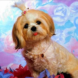 ������������ ��������, ���������, 22 ����