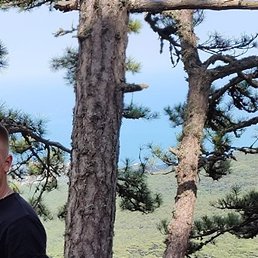 ���������, �����������, 30 ���