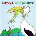 ���� Dima, ����� - ��������� 2 ������ 2023 � ������ ������ ��������