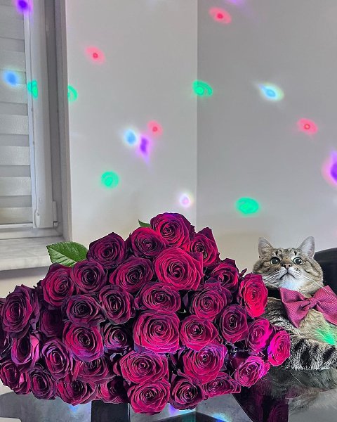��� �������� ��������� �����