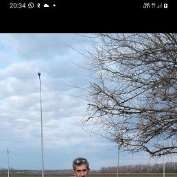 �����, ���������, 54 ����