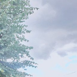 ������, �����, 47 ���