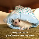 ���� Julia, �������� - ��������� 1 ������ 2022 � ������ ������ ��������