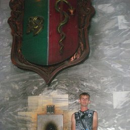 ������, ���������, 44 ����