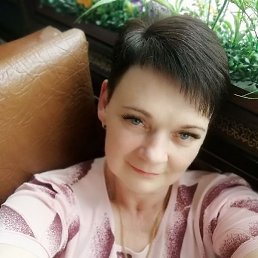 ��������, �����������, 56 ���