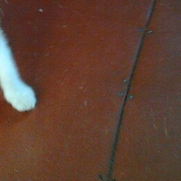 ������, ����������, 56 ���