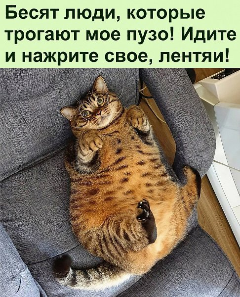 ������� ��������� ������ �������
