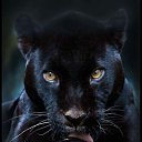 ���� Y�.y�., �������, 44 ���� - ��������� 12 ����� 2022 � ������ ���� ����������
