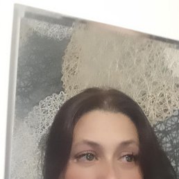 , 43 , 